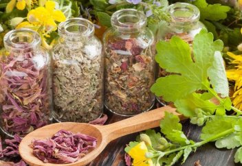 Елімізде емдік шөптерден дәрі өндіру жалғасады