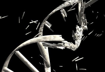 Климат өзгерісі бір және көп жасушалы организмдер генін мутацияға ұшыратады