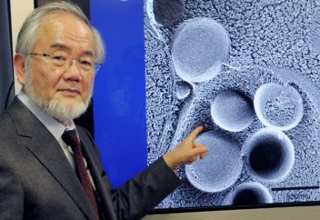 Нобелевская премия 2016 года: лауреат доказал, что поститься полезно