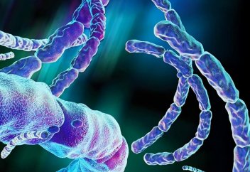 Әлемдегі ең қауіпті бактериялардың бірінен ауруды басатын дәрі жасалды