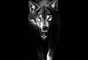 Не проспать опасность: как всегда быть начеку?