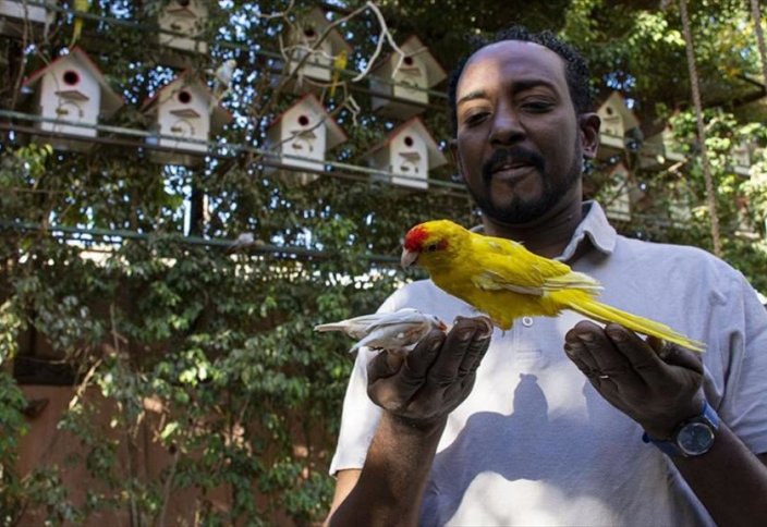 Суданец вырастил тропический сад, чтобы просвещать молодежь