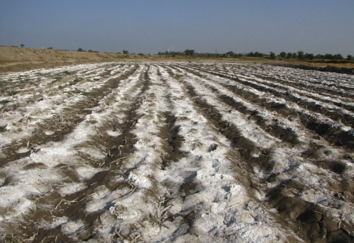 Елде 90 млн га жер тозған