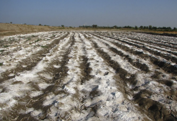 Елде 90 млн га жер тозған