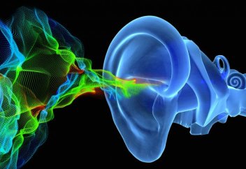 Нейрологиядағы төңкеріс: ғалымдар тербелістердің дыбысқа айналу тетігін ашты