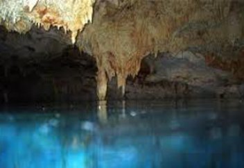 Ғалымдар 19 мың метр тереңдікте тіршілік барын дәлелдеді