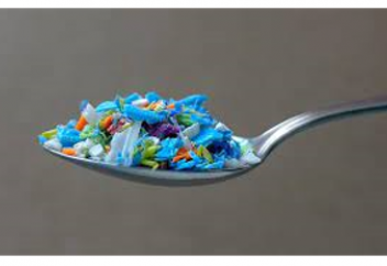 Адам аптасына орта есеппен 5 грамм пластик жейді – зерттеу