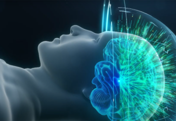 Ұйқының жадыға әсерінің тетігі ашылды