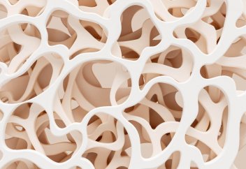 Биологтар арнайы гидрогелдің көмегімен сүйектерді өсіруді үйренді