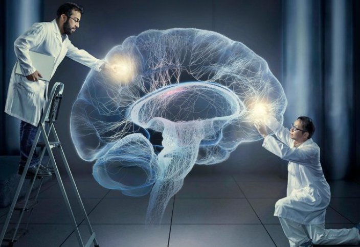 В мозге человека найден механизм формирования воспоминаний