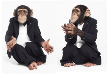 Адам маймылды үйретіп болды, енді маймыл адамды үйретеді...