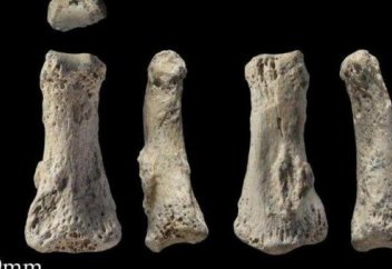 Древняя находка в Саудовской Аравии изменила представление о развитии человечества