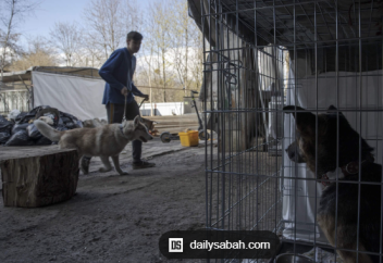 Казахстанцы тратят миллиарды на питомцев
