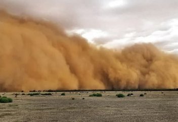 Центральная Азия ежегодно теряет $2 млрд из-за деградации земли