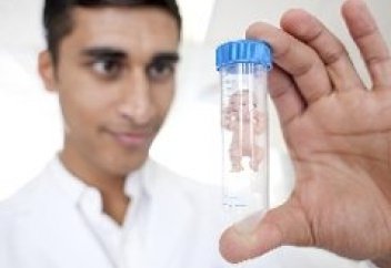 В Госдуме хотят запретить суррогатное материнство