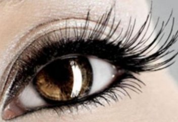 Шаш, қас, кірпіктеріміз