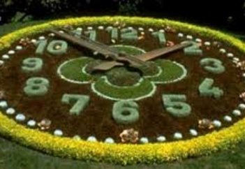 Қалта сағат (жалғасы)