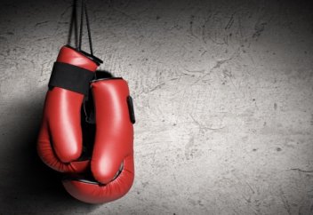 Бокске тыйым салынады