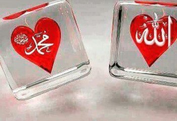 Жүрек және оның дертіне шипа табу жолдары