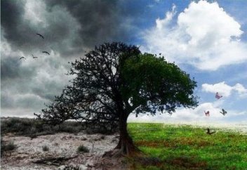 "Чёрное помогает увидеть белое": Мевляна Руми