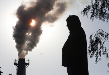 Ауаның ластануынан жыл сайын алты млн шарана шала туады