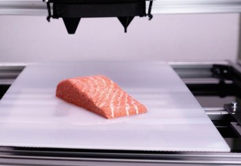 3D-принтерінде басып шығарылған ақсерке еті саудаға шығарылды (видео)