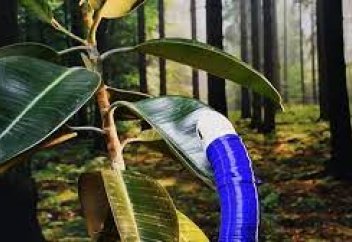 Әлемде алғаш рет өсе алатын робот құрастырылды (видео)