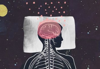 Ұйқы кезінде мидың қалай жұмыс істейтіні анықталды