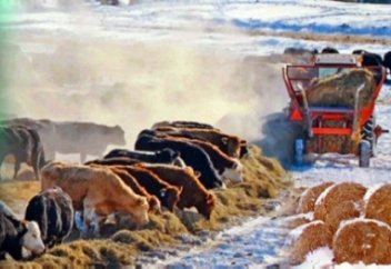 Eл іші: Маңғыстаулықтар мұқтаж жандарға тегін нан таратуды қолға алды (видeо)