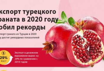 Разные: Экспорт турецкого граната в 2020 году побил рекорды