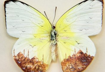 КӨБЕЛЕК ҚАНАТЫНДАҒЫ МЕШІТ (ФОТО)