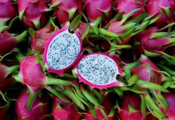 Подводный урожай: фермеры плывут в затопленные поля, чтобы спасти драконьи плоды