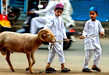 Кәффарат оразасын ұстап жүрген кісі құрбан айтқа тура келіп қалса, не істейді?
