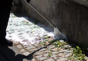 Арам шөпті жоюда тиімділігі қоршаған ортаға зиянды гербицидтен кем түспейтін көбік жасалды