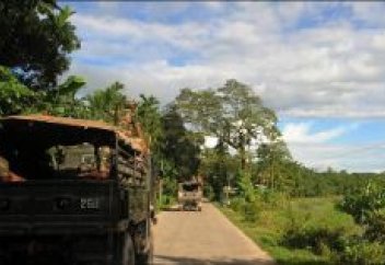 Индия: полсотни мусульман убиты радикальным племенем