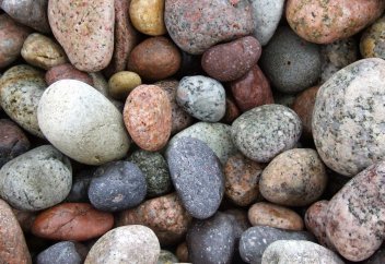 Может ли неживое превратиться в живое?