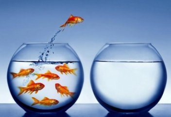 Темперамент и благой нрав мусульманина