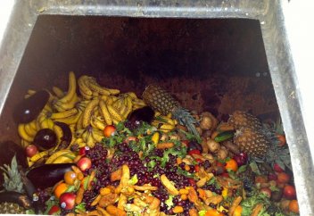 Әлемде тағамның үштен бірі қоқысқа тасталады немесе ысырапшылдықтың себептері мен салдары