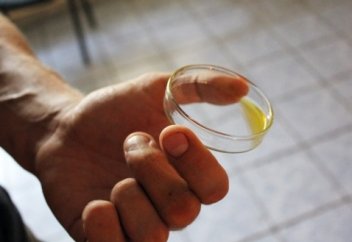 Жыланның уы қалай әсер етеді? Көріңіз!