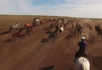 Білесің бе Отанның не екенін?