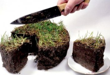 Кому будет принадлежать земля в Казахстане?