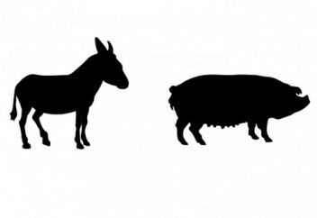 Доңыз бен есектің еті не үшін харам етілді