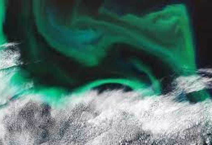 Посмотрите на цветущие воды Тихого океана из космоса (видео)