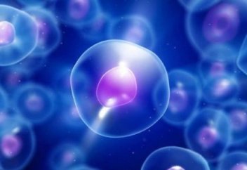 Тарихта тұңғыш рет адам жасушасы мен тіні жасанды жолмен жасартылды