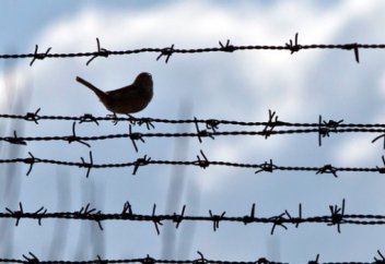 Қасиетті айдың құрметіне 1010 тұтқынға рақымшылық жасалады