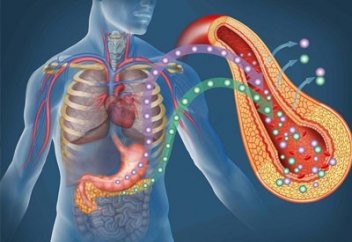 Биологтер организм ішінде дәрі өндіретін «фабрика» ойлап тапты