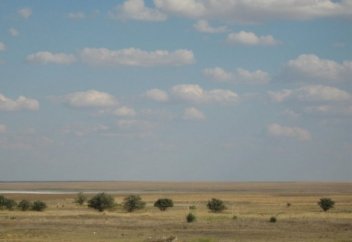 ЖЕР АНАНЫҢ ЗАРЫ!