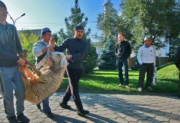 Курбан: смысл и правила