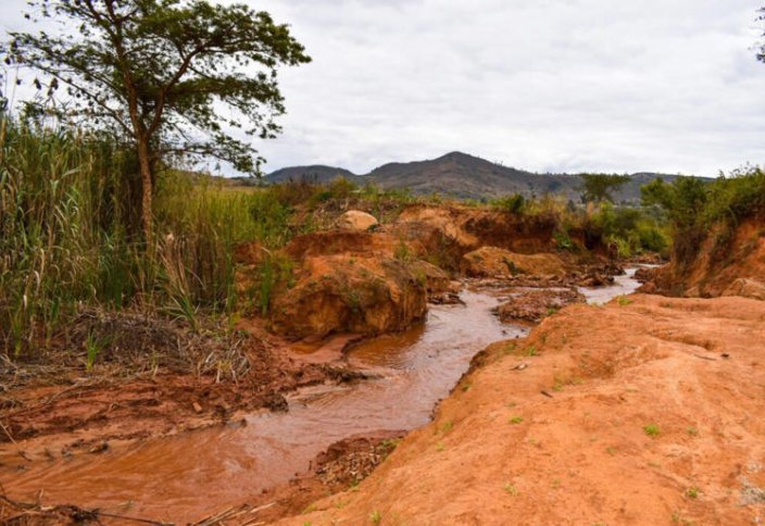 Китайская горнодобывающая промышленность вызвала гнев в Зимбабве