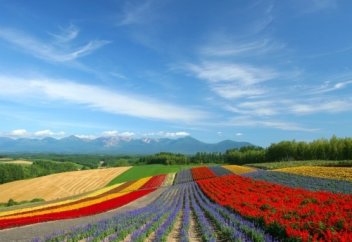 Бұл көктем, маған сый болды